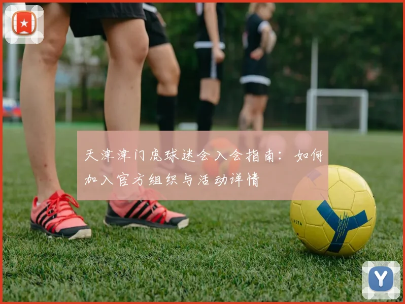 天津津门虎球迷会入会指南：如何加入官方组织与活动详情