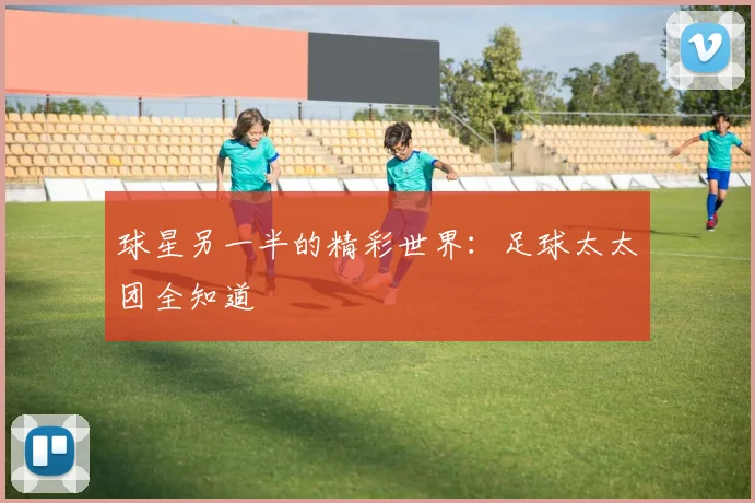 球星另一半的精彩世界:足球太太团全知道