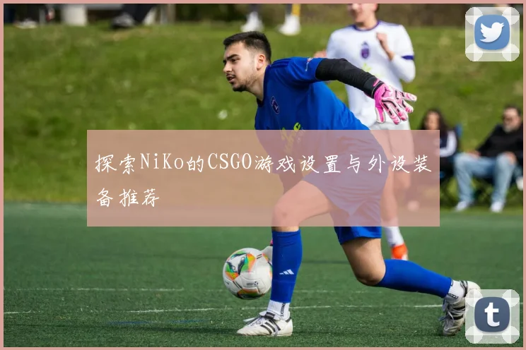 探索NiKo的CSGO游戏设置与外设装备推荐